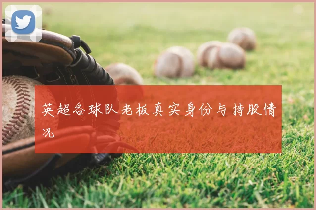 英超各球队老板真实身份与持股情况