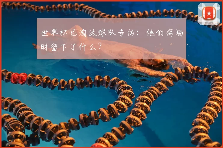 世界杯已淘汰球队专访：他们离场时留下了什么？
