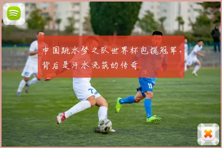 中国跳水梦之队世界杯包揽冠军，背后是汗水浇筑的传奇