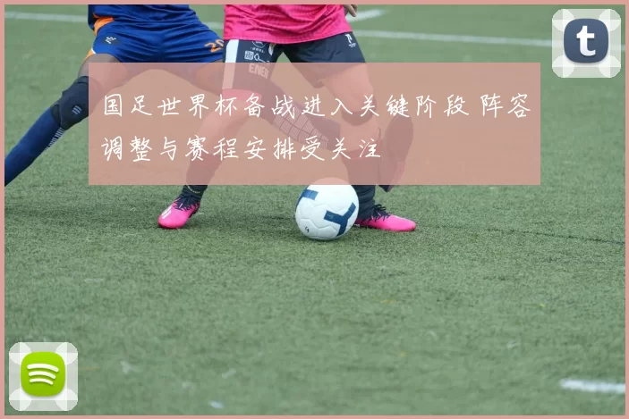 国足世界杯备战进入关键阶段 阵容调整与赛程安排受关注