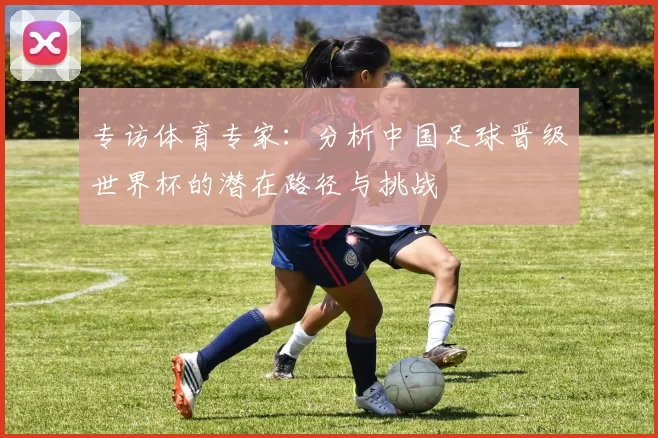 专访体育专家：分析中国足球晋级世界杯的潜在路径与挑战