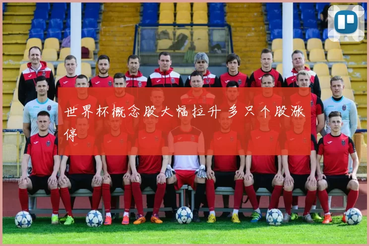 世界杯概念股大幅拉升 多只个股涨停