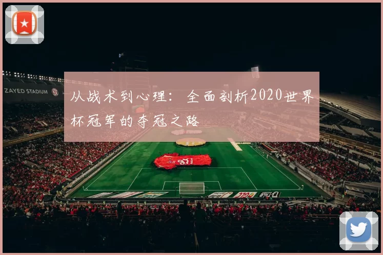 从战术到心理：全面剖析2020世界杯冠军的夺冠之路