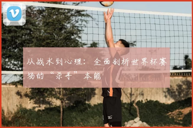 从战术到心理:全面剖析世界杯赛场的“杀手”本能