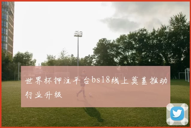 世界杯押注平台bs18线上奠基推动行业升级