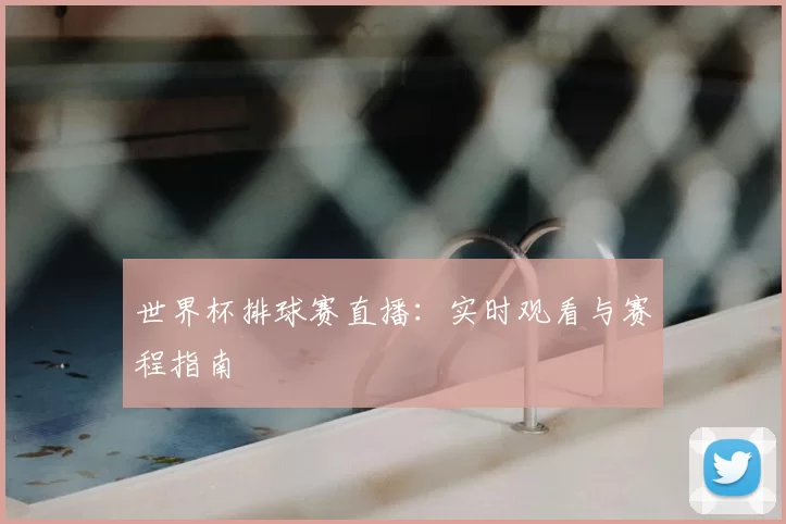 世界杯排球赛直播：实时观看与赛程指南