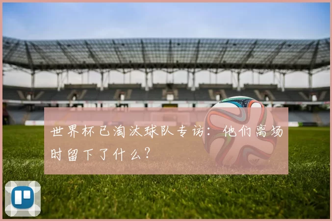 世界杯已淘汰球队专访：他们离场时留下了什么？