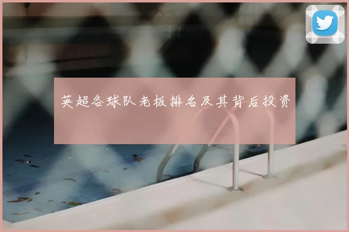 英超各球队老板排名及其背后投资